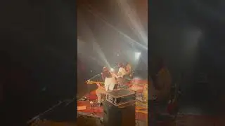 Espírito Selvagem acústico - é pra curtir sentado ou em pé? #shorts #Maglore #MagloreAcustico