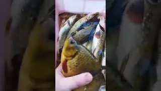 Рыбаки интересные люди)🎣🎣🎣