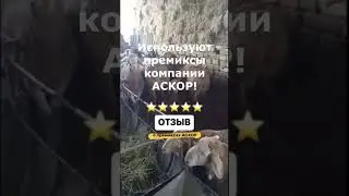 Отзыв фермера о премиксах и солевых лизунцах компании АСКОР! 