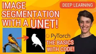 U-net Image Segmentation the basics (From Scratch!): Pytorch Deep Learning Tutorial
