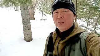 Капкан на соболя - уловистый. Своими руками 2022 г.