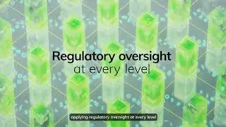 Regulatory Oversight at Every Level