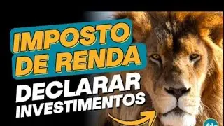 Como lançar seus investimentos na sua declaração de imposto de renda. Vem comigo!