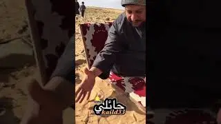أوقات الصلاة بدون ساعة
