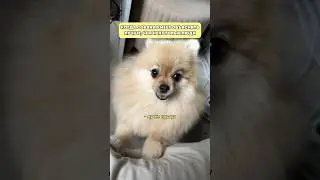 А вы обладаете такой целеустремленностью? 