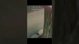 Хушруи парен надори чибаааа