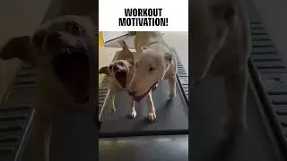 Sunday workout 😂 