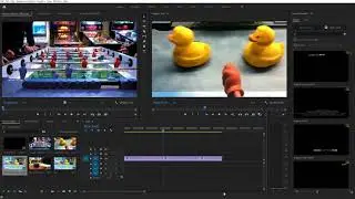 Premiere Pro In and Out Points for Quicker Editing