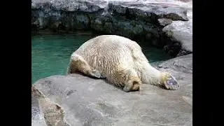 Beim Zocken eingeschlafen! (Lachflash)