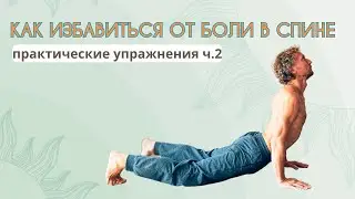 Упражнения от боли в спине. Как избавиться от боли в спине,ч.2
