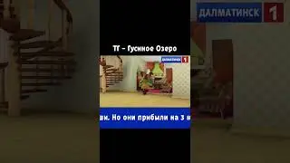 Машина времени... #новости #мем #мемы #прикол #приколы #юмор #шортс #тренд #тренды #реки