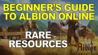 Beginner's Guide To Albion Online - Rare Resources