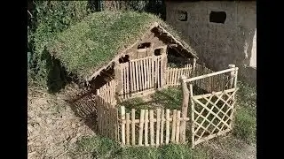 Building Wild Dog House