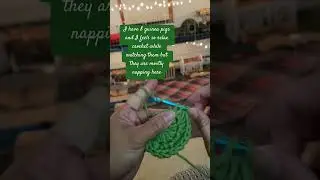 Happy New Years friends. #crochet #crocheter #guineapigs #guineapiglove #crocheting #happynewyear