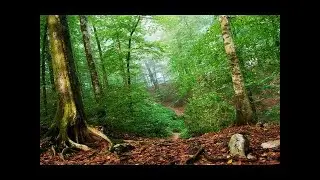 Moderne Wunder - Dämme und Deiche [Dokumentation deutsch]