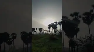#goodmorning #🌄morningsunrise #reels #reelsinstagram #reelssunrise #videography #village