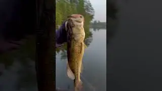 Best country for freshwater fishing?  Happy #canada day #fishing
