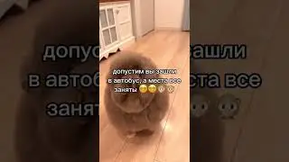 пердуляцыя?