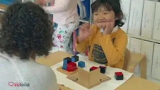 Montessori School Of Mclean - 703-790-1049