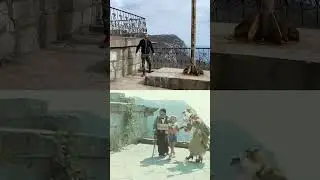 Где снимали «Приключения Буратино»