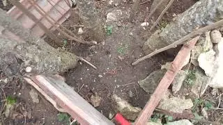 Высокие отводки фундука