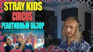 😱 Stray Kids - CIRCUS | reaction | Проф. звукорежиссер смотрит| реактивный обзор