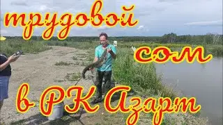 Сом  в Рк Азарт. Трудовая ловля сома .
