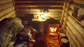 A Man and His Dog Hide from the Thunderstorm in a Forest Cabin and Stay Overnight. No talking