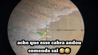 curduniz na bebida