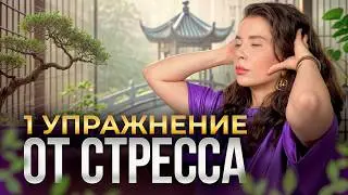 Как расслабить шею и плечи за 1 минуту? / Простая техника для снятия напряжения в шее!