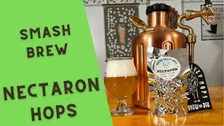 What do Nectaron Hops taste like? - SMASH Beer Experiment