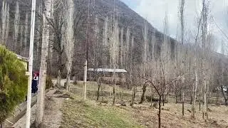 Мактаби баноми Чума Олим раками 7 шулмак