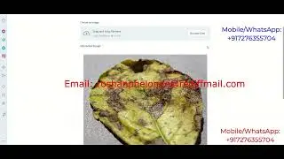 Detection Of Plant Disease Using Image Processing With Source Code Python Project Leaf DiseaseDetect