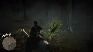 Магия Вуду в RED DEAD REDEMPTION 2