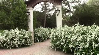 Евпатория. 24.04.2024.