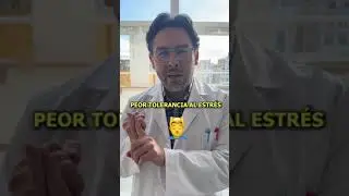 Tu mentalidad afecta directamente tu diarrea😮