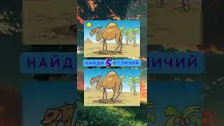 Найди 