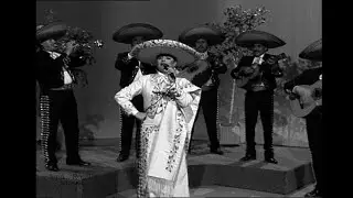 Angeles Ochoa - "Siete versos"