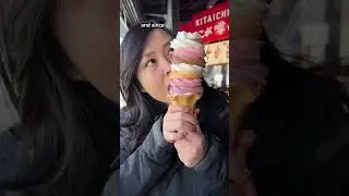 8 Flavors of Soft Serve Ice Cream🍦Would you try this?