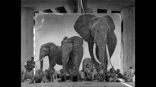 Art in Dialogue: Artist Talk with Nick Brandt, Environmental Photographer