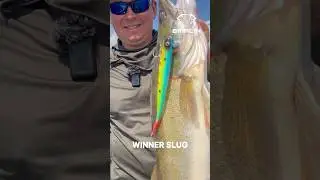 Закажи на WB или OZON!   #рыбалка #спиннинг #brialin #слаг #слаги