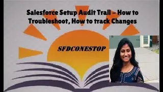 Salesforce View Setup Audit Trail