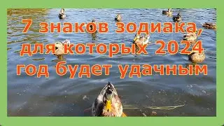 КАКИМ ЗНАКАМ ЗОДИАКА ПОВЕЗЕТ В 2024 ГОДУ. 7 Знаков Зодиака, для которых 2024 год будет удачным.