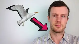 Idiom Origins | An Albatross Around Your Neck