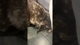 Вызывайте экзорциста😅