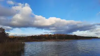 Все наладится! Я это точно знаю!17 октября 2024 г.