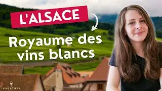 L’essentiel à savoir sur les vins d’Alsace (cépages, AOC, infos clés…)