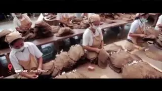 Alternatif Penghasilan Untuk Buruh Tembakau Bersama PlatPe