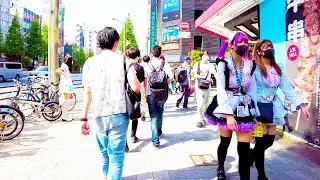 Akihabara in Tokyo has a maid cafe street ♪ 💖 4K ASMR non-stop 1 hour 02 minutes