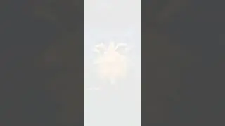 Pokémon Go! Shiny Pinecone!